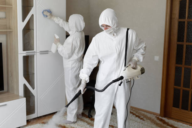 Professional Mold Remediation in Seabrook, SC